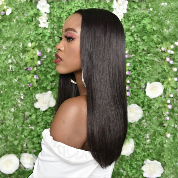 Glueless Double Drawn Bone Straight 4X4 Closure Wig – 20"